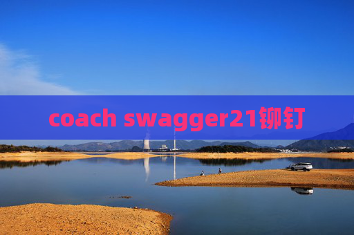 coach swagger21铆钉
